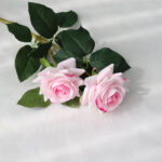 Light pink